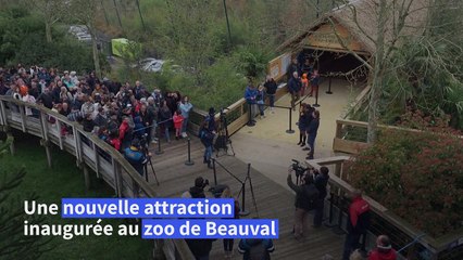 Le zoo de Beauval inaugure une volière présentée comme la plus grande d'Europe