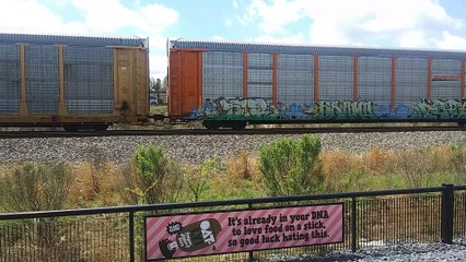161 car Norfolk Southern Train in Northeast Charlotte