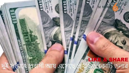 দুই সপ্তাহে প্রবাসী আয় এসেছে প্রায় ৯৬ কোটি ডলার