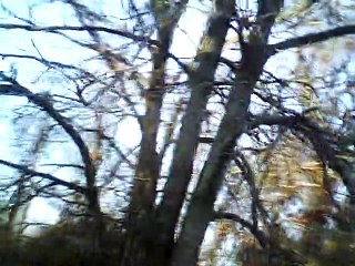 contre raison vous m'es fort estranger instrumental