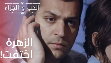 الزهرة اختفت! | مسلسل الحب والجزاء  - الحلقة 16