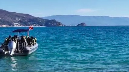 Show di una megattera al largo di Noli, spettacolari evoluzioni in acqua