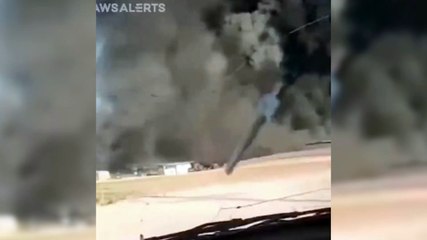 Pum pode ter matado 19 mil vacas