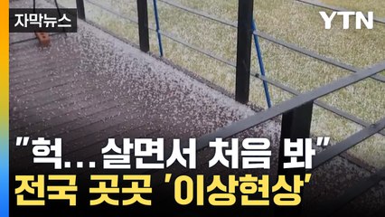 [자막뉴스] "살면서 처음 봐" 전국 곳곳 '이상현상' / YTN