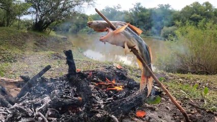 Pesca y Aventura en Rio Gualeguaychú | Pescado a la Estaca | Pesca de Bagres Moncholo | Cocina y Mucha Naturaleza