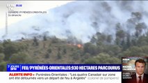 Incendie dans les Pyrénées-Orientales: au moins 930 hectares parcourus par le feu