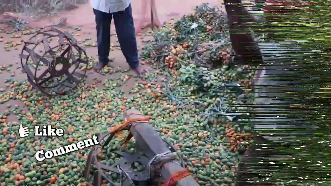 Supari Kaise Banti Hai video Dailymotion