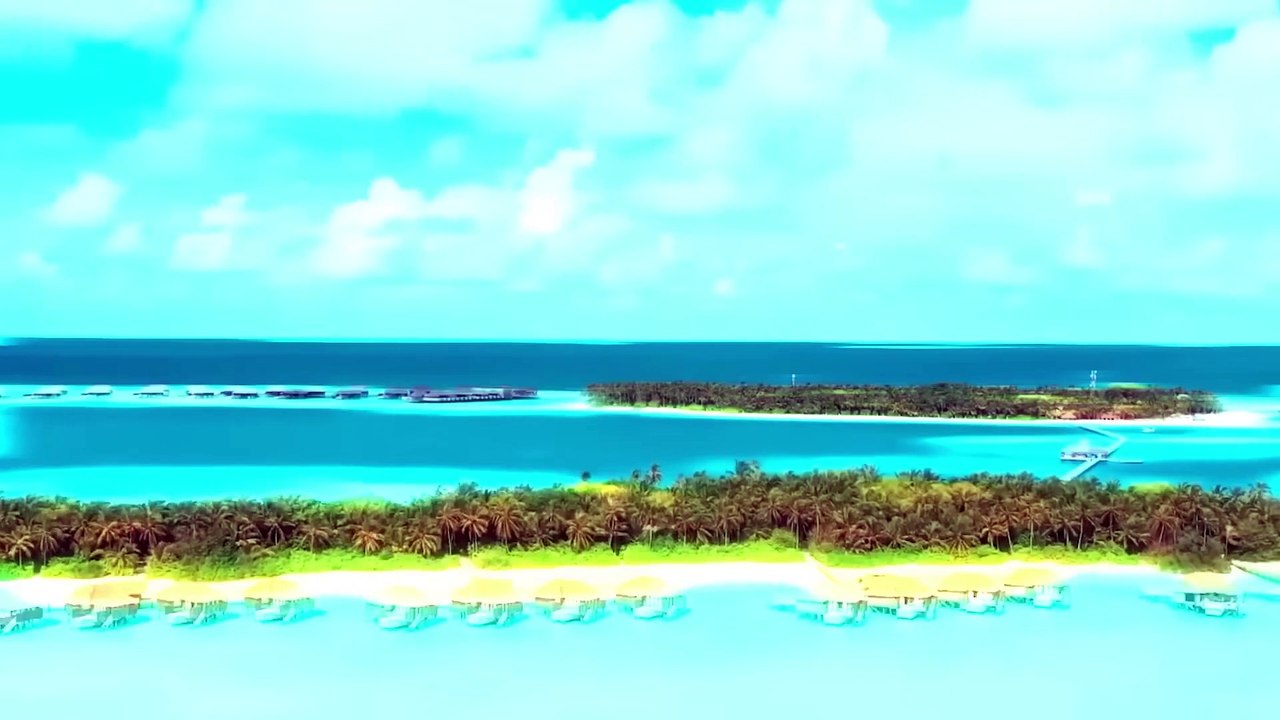 Filmaron un Navío Fantasma Que Estuvo Escondido en la Jungla Durante Años