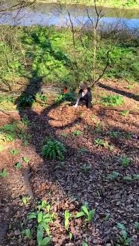 Failing and Falling Off The Rope Swing