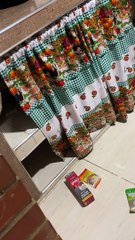 Naughty Pug Gets Into Things He Shouldn't Have