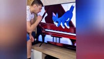 Try Not To Laugh Funny Videos  BoxtoxTv 7