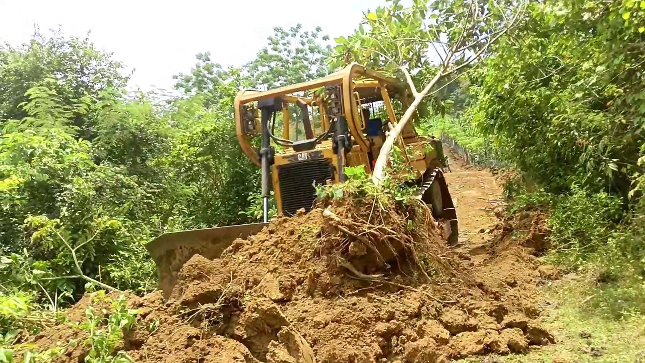 The Power of the Bulldozer: How Skilled Operators Build Effective Roads on Plantations