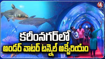 Under Water Fish Tunnel Aquarium In Karimnagar, Attracts Public | V6 News