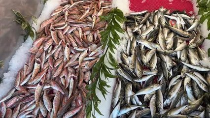 Avlanma yasağı başladı ama tezgahlardaki çeşitlilik devam edecek