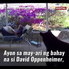 Lalaking nagre-relax sa bahay, binulaga ng oso! | GMA News Feed