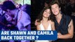 Shawn Mended-Camila Cabello seen ‘close’ together at Coachella, spark reunion rumours| Oneindia News