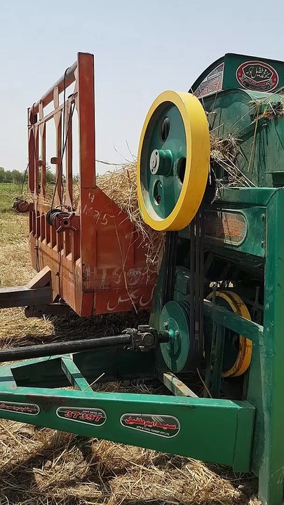 Wheat Harvesting Method | Village Life Pakistan Cutting Harvesting Wheat With Thresher New Model 2023