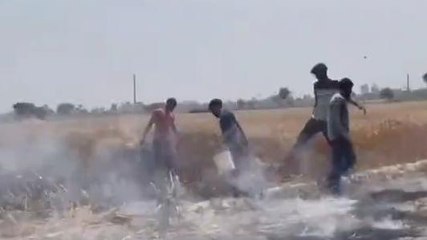 अमरोहा:हाईटेंशन तारों से निकली चिंगारी से खेत में लगी आग,2 बीघा गेहूं की फसल जलकर हुई राख