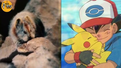 10 Pokemon That Actually Exist In Real Life