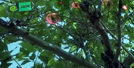 The Worst Witch S02 E12