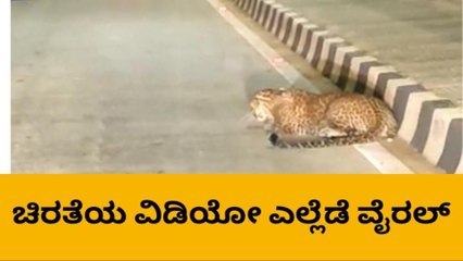 ಗದಗ: ಚಿರತೆ ಪ್ರತ್ಯಕ್ಷ - ಸಾರ್ವಜನಿಕರಲ್ಲಿ ಆತಂಕ