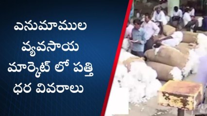 వరంగల్ ఈస్ట్ : పడిపోతున్న పత్తి ధర