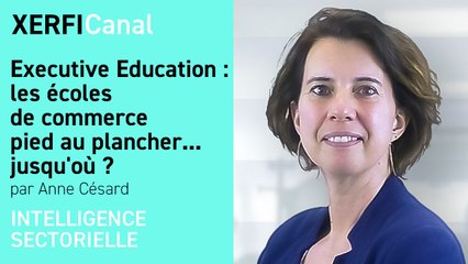 Executive Education : les écoles de commerce pied au plancher... jusqu'où ? [Anne Césard]
