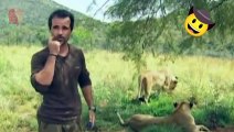 Brave man living with lions