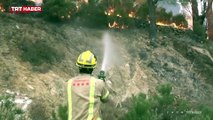 İspanya'nın Fransa sınırında orman yangını: 300 kişi tahliye edildi