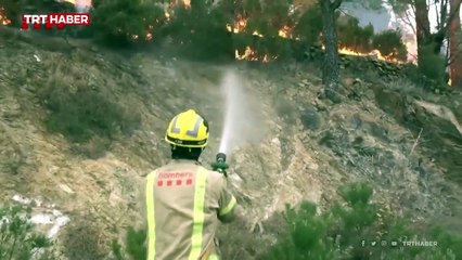 İspanya'nın Fransa sınırında orman yangını: 300 kişi tahliye edildi