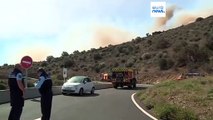 930 hectares arderam no primeiro grande incêndio florestal do ano em França