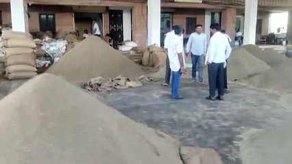 राज्य की पहली सौंफ मंडी बिलाड़ा में खरीदारी को पहुंचे देश भर से व्यापारी