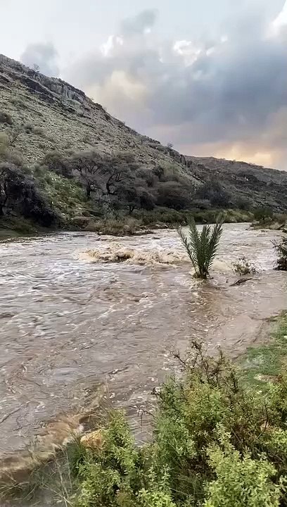 بالفيديو.. سيول "وادي الكحلة بتنومة" تجرف مركبةً ونجاة قائدها بأعجوبة