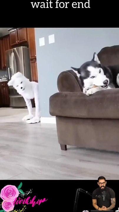 Tranding shorts on youtube-Tranding shorts video- tranding shorts channel#tranding #viral #shorts 17 (3)