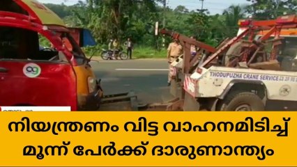 വാഹനം ഇടിച്ച് രണ്ടു വയസുകാരിയടക്കം 3 പേര്‍ക്ക് ദാരുണാന്ത്യം