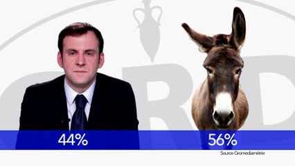 Sondage grolandais - Groland - CANAL+