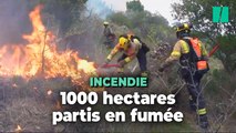 Un incendie ravage près de 1000 hectares dans les Pyrénées-Orientales
