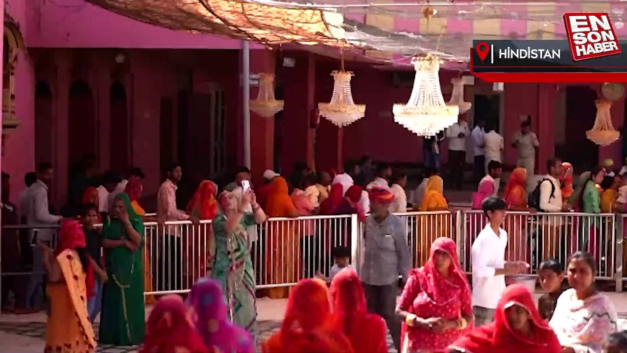 Hindistan’da 'Fareler Tapınağı'