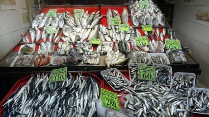 ÇANAKKALE'DE TEZGAHLARDAKİ BALIK ÇEŞİTLİLİĞİ, OLTA VE DALYAN AVCILIĞIYLA SÜRÜYOR