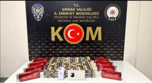 Şırnak'ta asayiş ve kaçakçılık operasyonu: 56 gözaltı