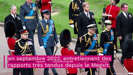 Download Video: Couronnement de Charles III : Harry et William volontairement 