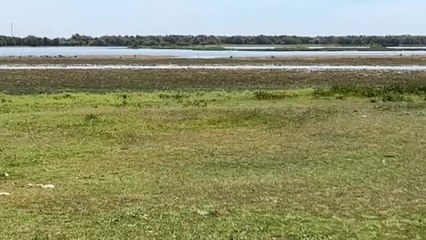 Ribera: "Afirmar que lo que está a 30 kilómetros de Doñana no es Doñana, es no entender cómo funciona un ecosistema"
