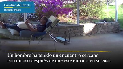 Un hombre descansa en una tumbona al aire libre asustado por la repentina aparición de un oso