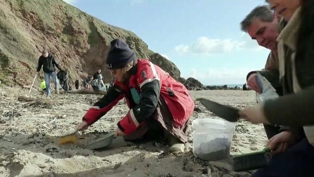 On the hunt for plastic ocean pollutants in southwestern England