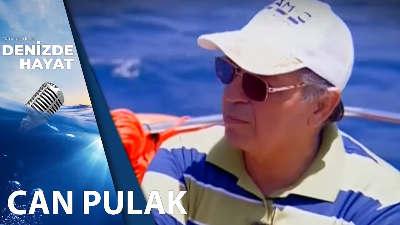 Koylara Giriş Rezervasyonla mı Olacak?  Can Pulak Açıklıyor | Denizde Hayat