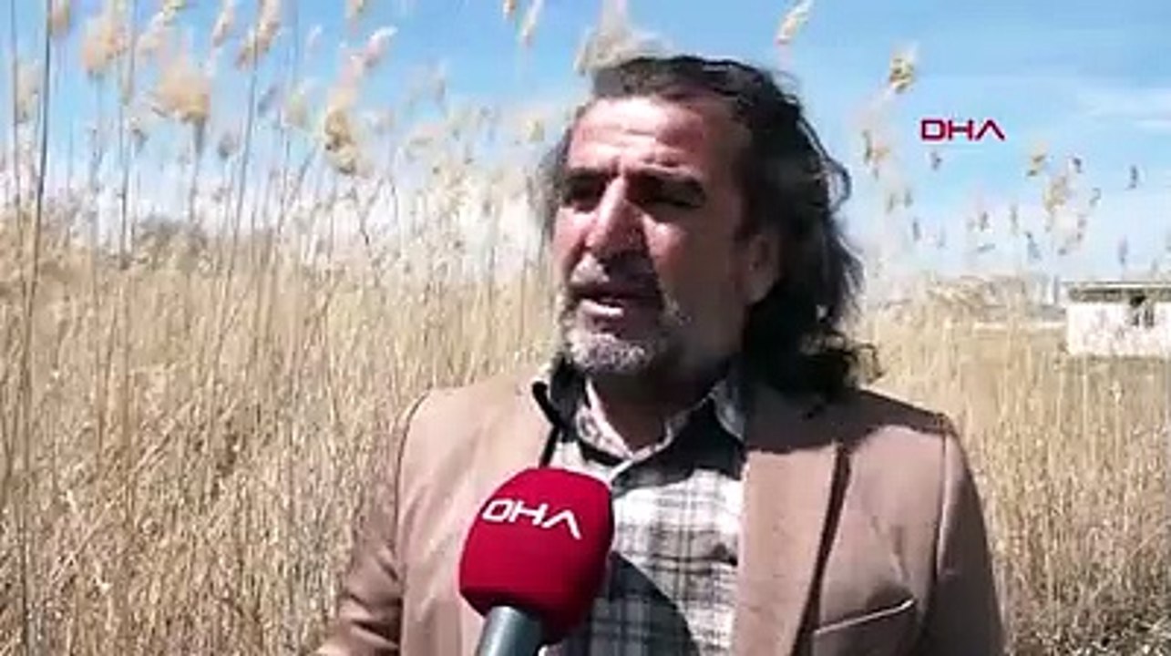 Van Gölü'nde görsel şölen! Flamingoların ilk kafilesi geldi