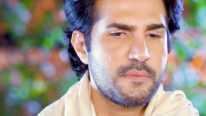 Samjhota Episode 87 To Last Episode Mega Promo | Drama Samjhota Ep 87 To Last Ending Review