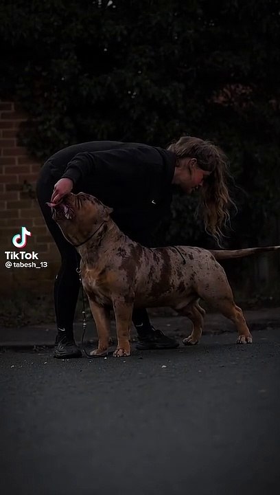 Girls vs dogs
