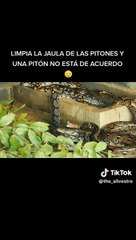 Frank Cuesta, atacado por pitones