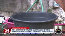 Siguruhing walang nakatenggang tubig na mapamumugaran ng lamok para iwas-dengue -- DOH | 24 Oras